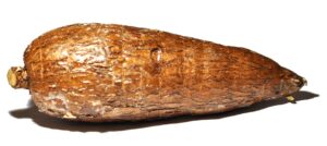 Cassava Root
